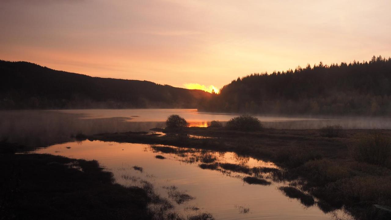 C4 Albmatte-Fewo Sauna, Hallenbad Aussenbecken Massagen Nebenan Menzenschwand-Hinterdorf Eksteriør billede