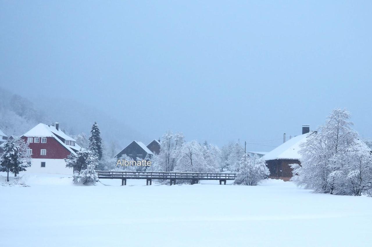 C4 Albmatte-Fewo Sauna, Hallenbad Aussenbecken Massagen Nebenan Menzenschwand-Hinterdorf Eksteriør billede