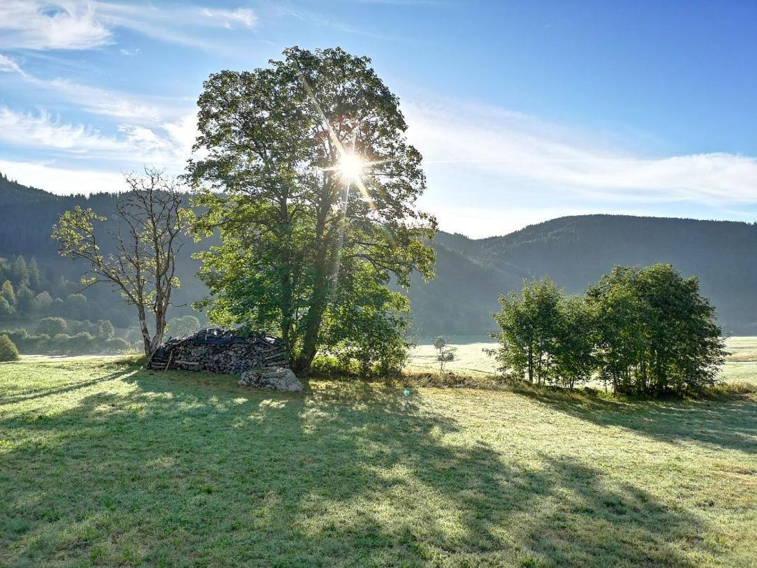 C4 Albmatte-Fewo Sauna, Hallenbad Aussenbecken Massagen Nebenan Menzenschwand-Hinterdorf Eksteriør billede