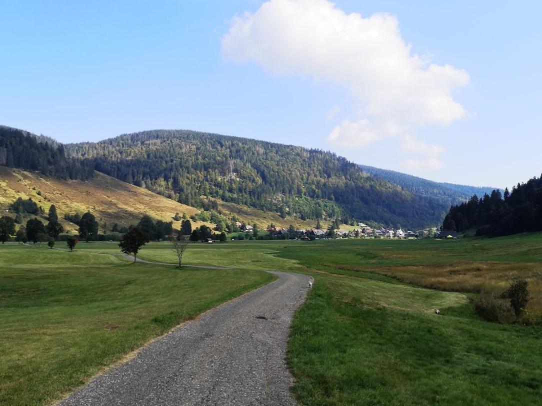 C4 Albmatte-Fewo Sauna, Hallenbad Aussenbecken Massagen Nebenan Menzenschwand-Hinterdorf Eksteriør billede