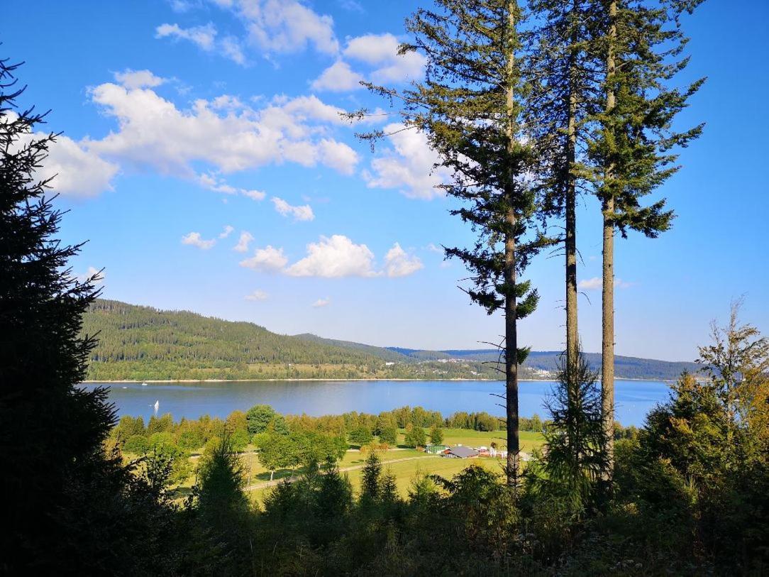 C4 Albmatte-Fewo Sauna, Hallenbad Aussenbecken Massagen Nebenan Menzenschwand-Hinterdorf Eksteriør billede