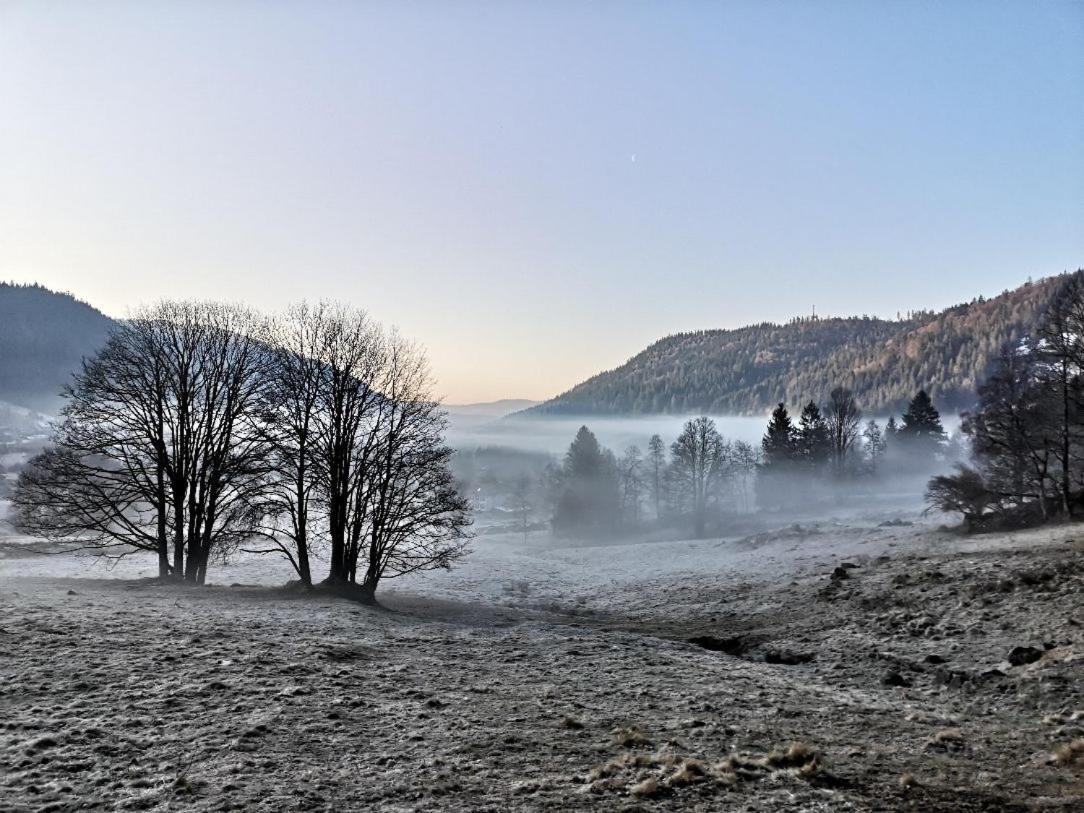 C4 Albmatte-Fewo Sauna, Hallenbad Aussenbecken Massagen Nebenan Menzenschwand-Hinterdorf Eksteriør billede