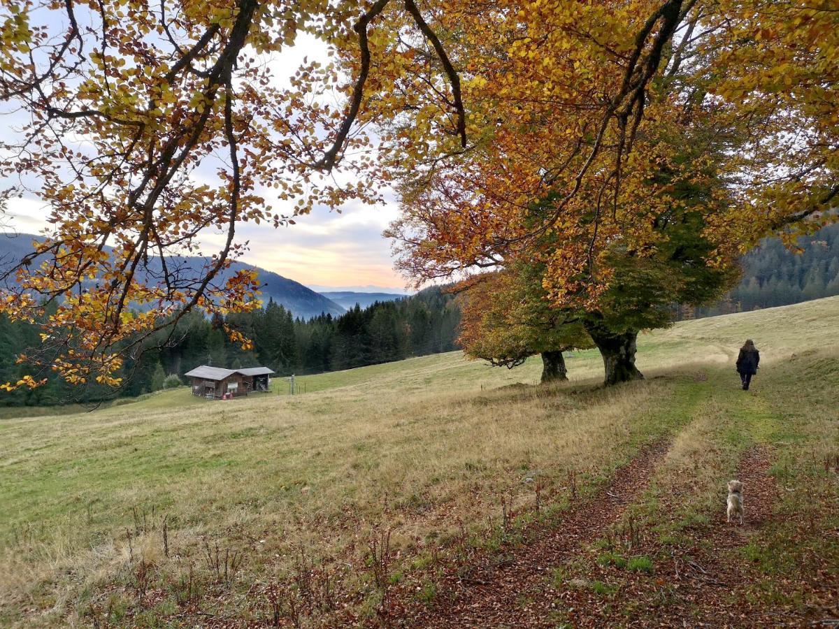 C4 Albmatte-Fewo Sauna, Hallenbad Aussenbecken Massagen Nebenan Menzenschwand-Hinterdorf Eksteriør billede
