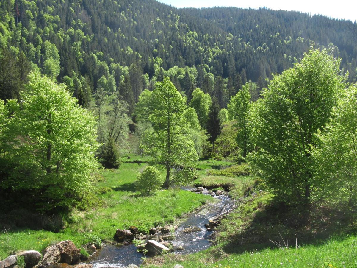 C4 Albmatte-Fewo Sauna, Hallenbad Aussenbecken Massagen Nebenan Menzenschwand-Hinterdorf Eksteriør billede