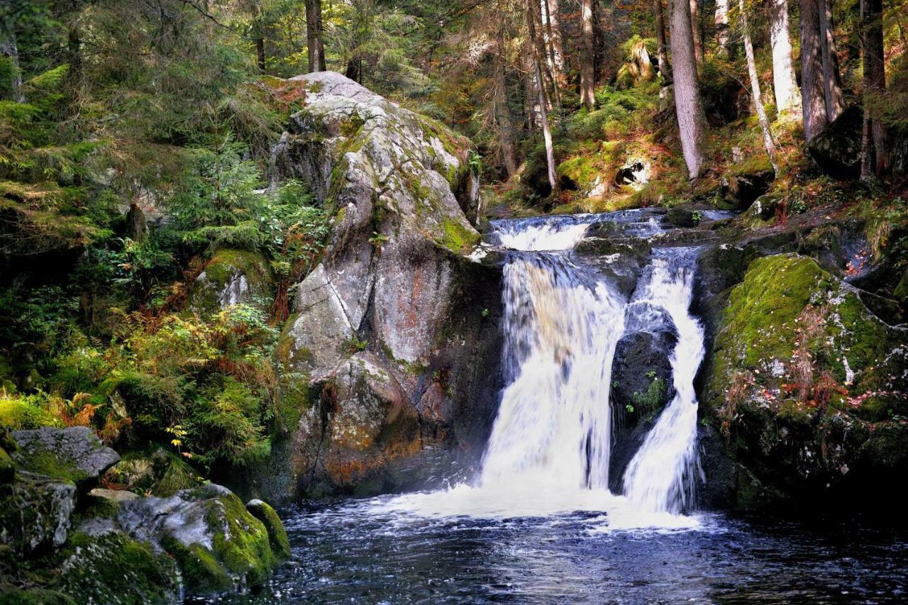 C4 Albmatte-Fewo Sauna, Hallenbad Aussenbecken Massagen Nebenan Menzenschwand-Hinterdorf Eksteriør billede