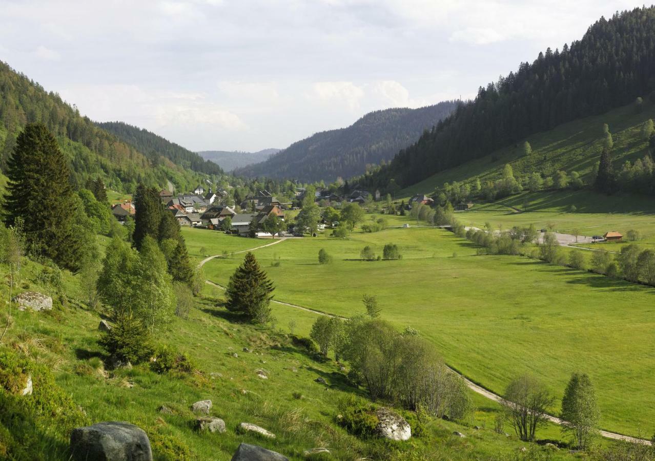 C4 Albmatte-Fewo Sauna, Hallenbad Aussenbecken Massagen Nebenan Menzenschwand-Hinterdorf Eksteriør billede